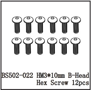 502-022 BSD HM3*10MM B-HEAD HEX SCREW 12 stk.