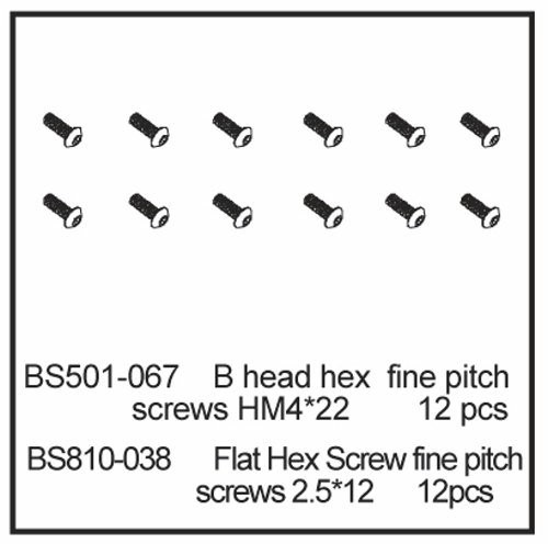 810-038 BSD FLAT HEX SCREW FINE PITCH SCREWS 2.5*12 12stk.
