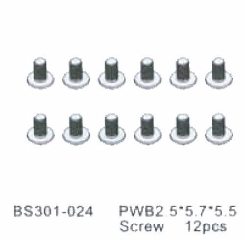 301-024 BSD PWB2.5*5.7*5.5 Screw 12stk.