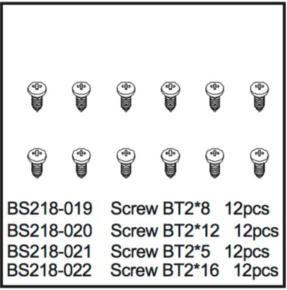 218-021 BSD Screw BT2*5