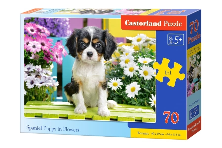 Castorland Puzzle ‚Labrador Welpe In Rosa Box‘ – 300 Teile, Für Erwachsene & Kinder Ab 3 Jahren