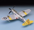 Academy 1/48 P-47N Special - Expected Goose thumbnail