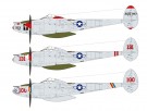 Tamiya 1/48 Lockheed P-38J Lightning thumbnail