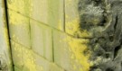 Vallejo Weathering Moss And Lichen 40ml thumbnail