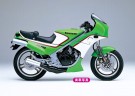 Hasegawa 1/12 Kawasaki KR250 (KR250A) 1984 thumbnail