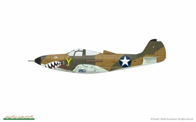 Eduard 1/48 P-400 Profipack Edition